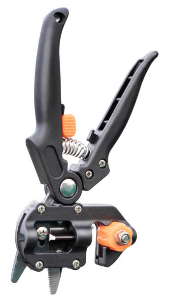 istock Professional secateurs for grafting plants. 1618770750
