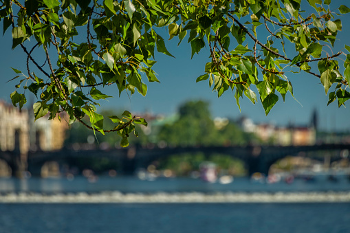 Prague capital centre of city in summer color fresh hot day