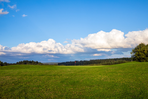 Grassland with mountains in background.