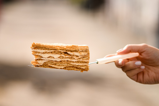 Selective focus on slice of delicious traditional honey cake on a metal cake spatula in female hand