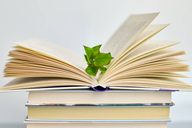 istock Open book, Stack of books with branch green leaves, World book day 1618778345