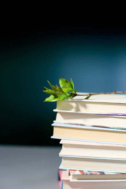 istock Stack of books with branch green leaves, World book day 1618778380