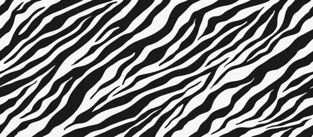 Vector illustration of zebra skin texture seamless pattern. zebra pattern, Stripes Seamless Pattern. skin pattern.
