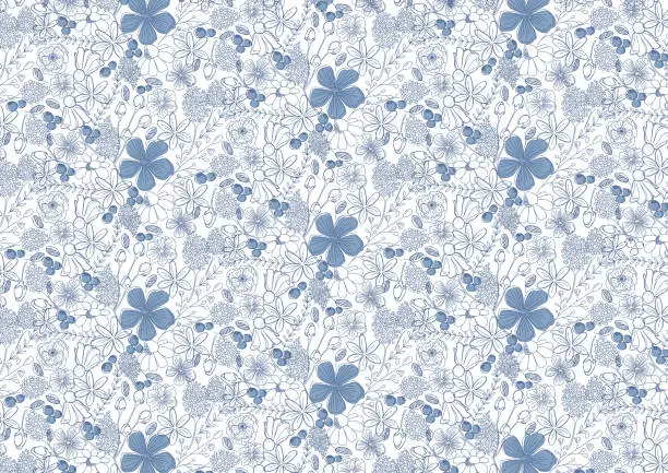 Vector illustration of Seamless pattern of flowers on white background. Vector illustration. Delicate and beautiful. Background drawn with blue lines.