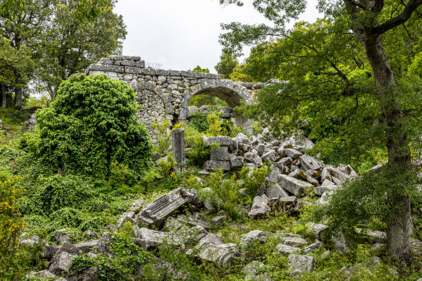 The ruins of Colonnaded Road at the ancient city of Termessos, Antalya, Turkey. Termessos ancient city is one of Antalya, Turkey's most outstanding archaeological sites. Despite the long siege in 333 BC, Alexander the Great could not capture the ancient city. He likened the city to an eagle's nest and it is one of the few cases he failed to conquer. termessos stock pictures, royalty-free photos & images