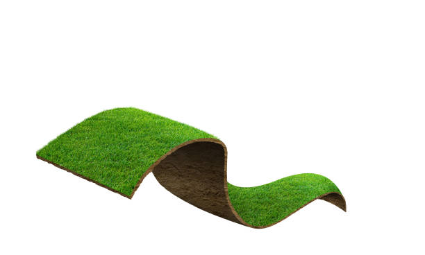 istock 3d illustration of bending grass field floating. agriculture grass field creative ads. 1618795978