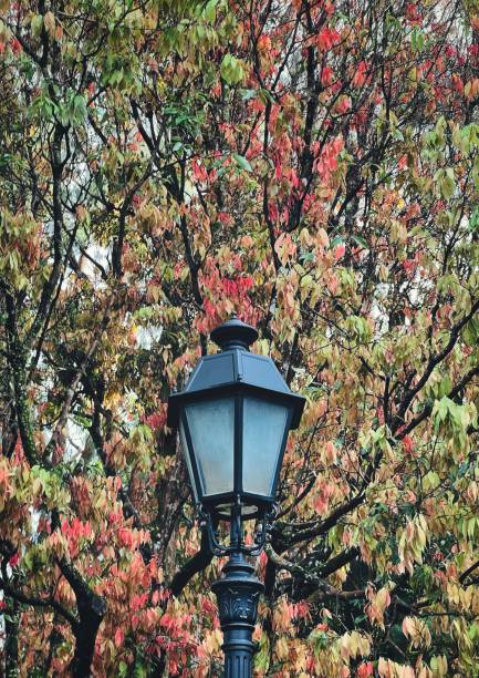 istock Street lamp and changing leaf colors 1618796028