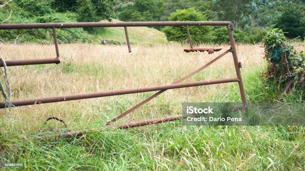 Rusty Gate In A Field Stock Photo - Download Image Now - Agricultural ...