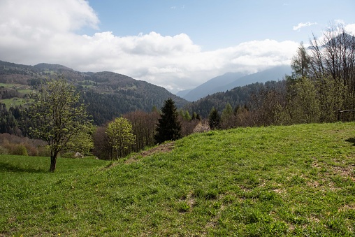 Dolomiti in Trentino