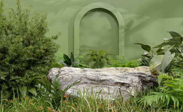 istock rock podium mock up design for product presentation 1618813552