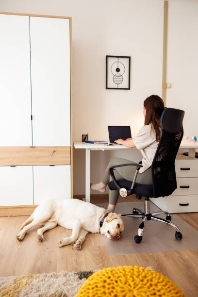 istock Woman working remotely from home with her pet dog 1618818470