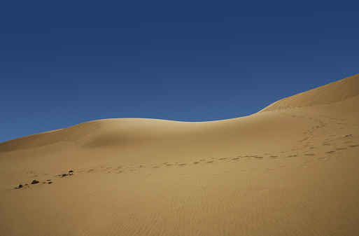 Morning at White dunes, called Sugar dunes at Al Khaluf, Oman. It is south part of Wahiba desert, near Arabian sea.