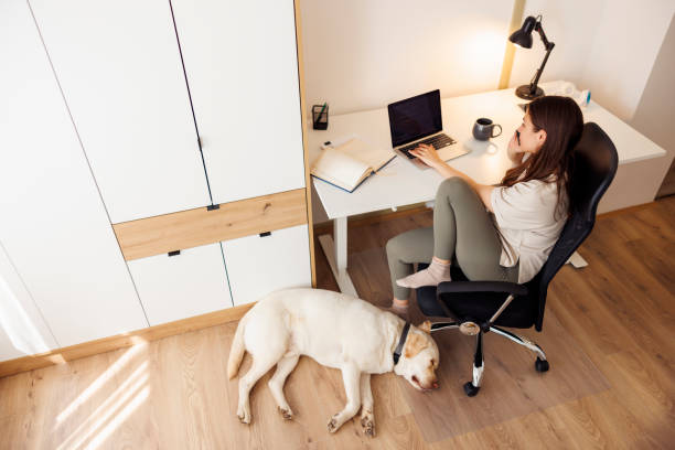 istock Woman having phone conversation while working remotely from home 1618822386