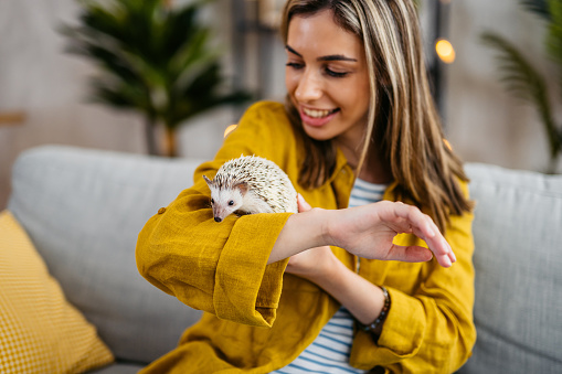 Young smiling woman and her cute hedgehog playing in the living room.