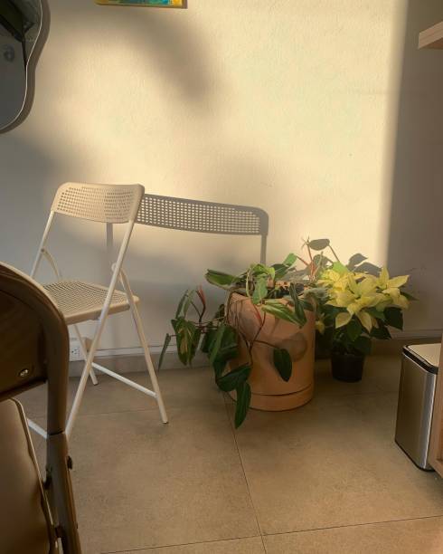 istock sunset shadow of table and chair reflected on the wall 1618867435