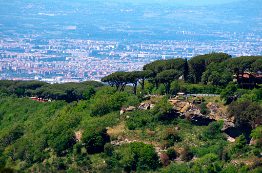 view of the pine trees on the hill and the city of Rome in the background