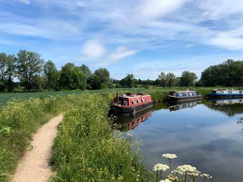 Boats  on the river Stort