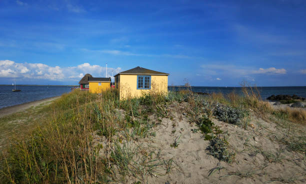 vacances d’été dans les dunes - denmark beach beach house house photos et images de collection