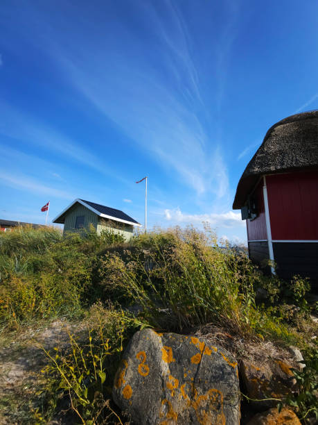 istock summer house vacation in the dunes 1618897777
