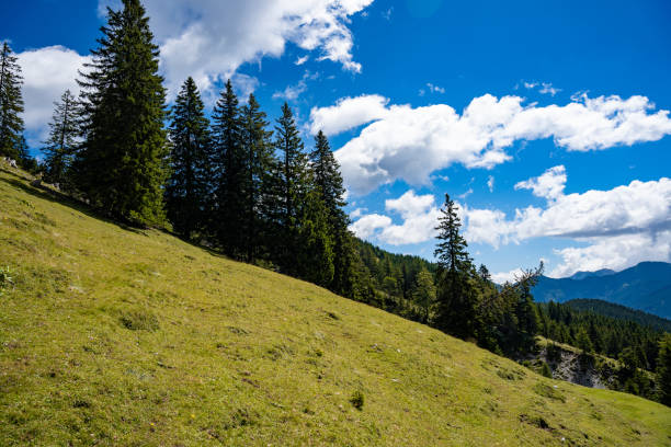 istock Scenic panoramic view of idyllic rolling Tegoska mountain 1618908892