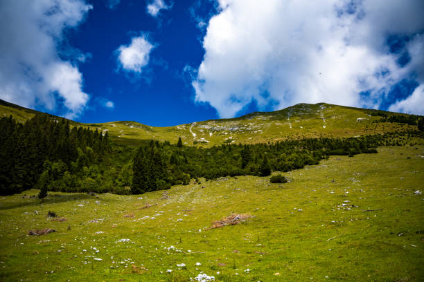 Scenic panoramic view of idyllic rolling hills landscape with blooming meadows and snowcapped alpine mountain peaks in the background on a beautiful sunny day with blue sky and clouds in summertime