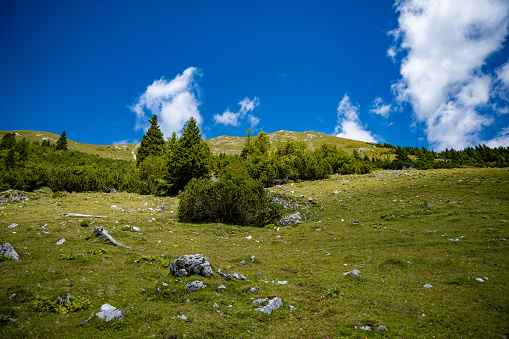 Green meadow in the mountains