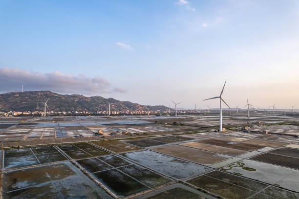istock Wind turbines in the evening salt fields 1618925509