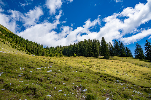 Scenic panoramic view of idyllic rolling hills landscape with blooming meadows and snowcapped alpine mountain peaks in the background on a beautiful sunny day with blue sky and clouds in summertime