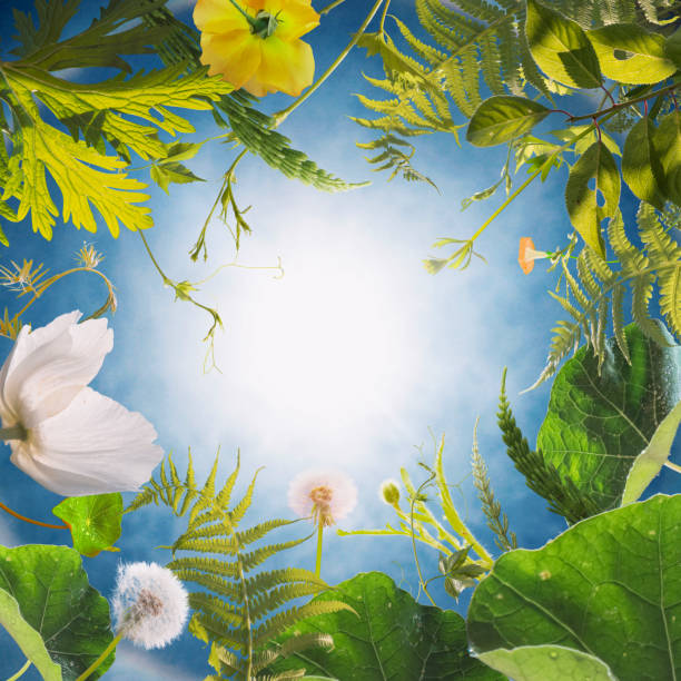istock childhood point of view 1618938188