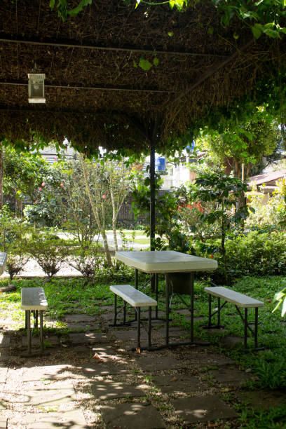 istock vintage dinner table chairs under a canopy of leaves 1618939275