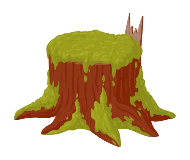 Vector illustration of Cartoon moss growing on stump. Swamp moss on rotten stump, rainy forest lichen plants flat vector illustration on white background