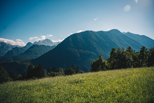 Scenic panoramic view of idyllic rolling hills landscape with blooming meadows and snowcapped alpine mountain peaks in the background on a beautiful sunny day with blue sky and clouds in summertime