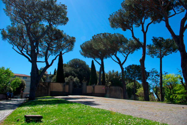 view of the lawn and pine trees in a park of Castel Gandolfo