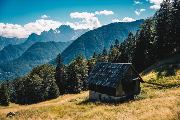 Scenic panoramic view of idyllic rolling hills landscape with blooming meadows and snowcapped alpine mountain peaks in the background on a beautiful sunny day with blue sky and clouds in summertime