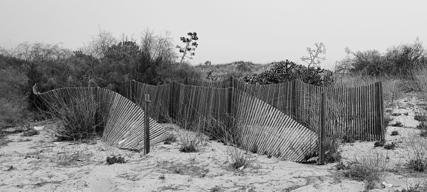 Sand barrier fence