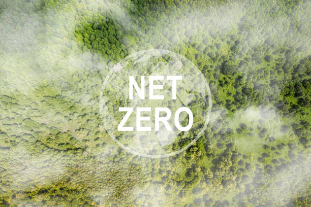 istock Net Zero 2050 Carbon Neutral and Net Zero Concept natural environment A climate-neutral long-term strategy greenhouse gas emissions targets A cloud of mist in the green Net Zero figure. 1618974945