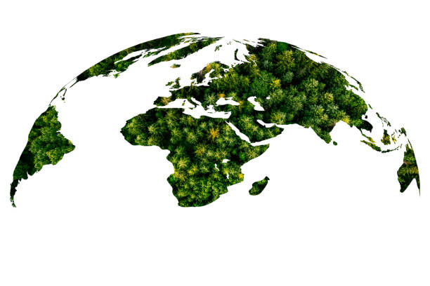 istock Earth is isolated on white background. world map green planet Earth Day or environment day Concept and ecology and environment sustainable concept. 1618974961
