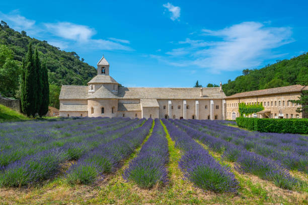 istock Senanque Abbey Gordes Provence Lavender fields, Notre-Dame de Senanque 1618975534