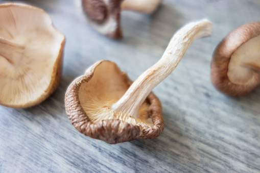 Wild mushroom on a wooden background
