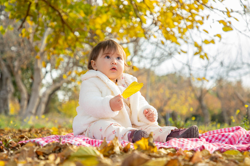 Baby girl sitting by herself in nature in autumn