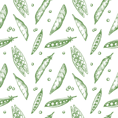 Peas Pattern Pea Plants Seamless Pattern Background With Peas And Grains Drawing ...