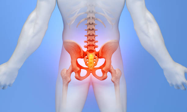 istock Sacrum Pain on White Body 1619006538