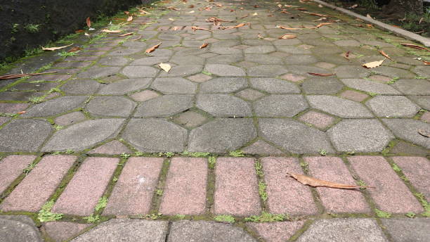 istock background texture dry leaf falls on the paving block. Negative space photography technique 1619014224