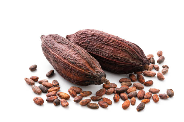 istock Dried cocoa pods and cocoa beans isolated on white background 1619023591