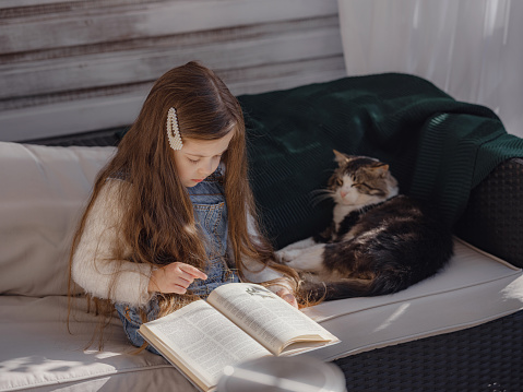 Autumn sunny weekend with cat at home. little girl reading a book on the veranda with pet, home education for children. stay at home, Children and Pets Relationships, Back To School Concept