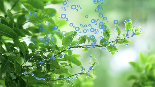 Close-Up Green Leaves  With Overlay Animation  Of Oxygen Icon And Futuristic Dots And Connection Flowing