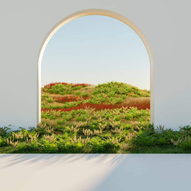 Green archway in the garden.