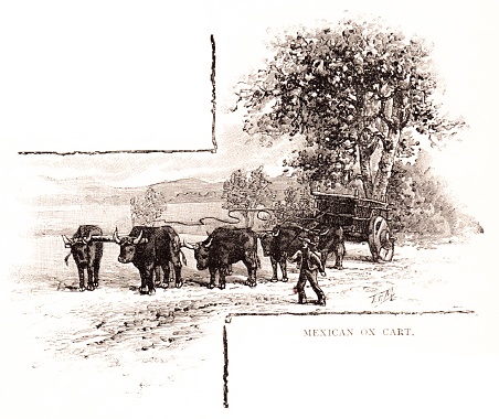 Oxen pulling an ox cart in Mexico. Sepia-toned illustration published 1890.  Original edition is from my own archives. Copyright has expired and is in Public Domain.