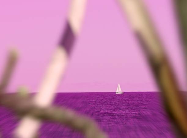Ship on the horizon, a false color representation of looking forward onto the horizon from afar. A calm way forward concept of purple toned image of the Atlantic ocean horizon through a thicket.