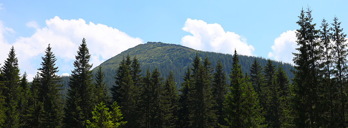 A forest and a green peak under the blue sky.